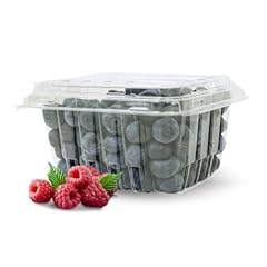 Pack plastic berry for sale  Delivered anywhere in USA 