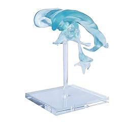 Evotech scientific human for sale  Delivered anywhere in USA 