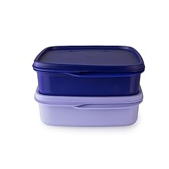 Tupperware clevere pause gebraucht kaufen  Wird an jeden Ort in Deutschland