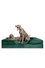 Noah paw giant for sale  Delivered anywhere in USA 