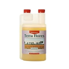 Canna terra flores usato  Spedito ovunque in Italia 