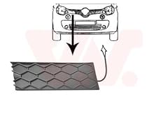 Van wezel 4368512 usato  Spedito ovunque in Italia 