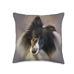 Shelties tri color for sale  Delivered anywhere in USA 