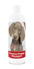 Healthy breeds weimaraner for sale  Delivered anywhere in USA 