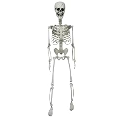 Catree halloween plastikskelet gebraucht kaufen  Wird an jeden Ort in Deutschland