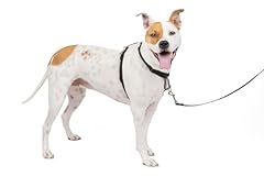 Petsafe dog harness for sale  Delivered anywhere in USA 