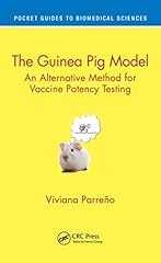 Guinea pig model for sale  Delivered anywhere in USA 