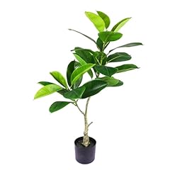 Fake plant rubber for sale  Delivered anywhere in USA 