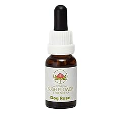 Dog rose stockbottle for sale  Delivered anywhere in UK