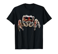 Spinne phidippus regius gebraucht kaufen  Wird an jeden Ort in Deutschland