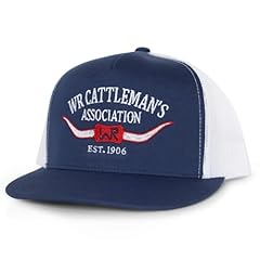 Whiskey bent hat for sale  Delivered anywhere in USA 