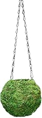 Supermoss kokedama planter for sale  Delivered anywhere in USA 