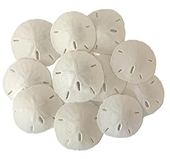 Tumbler home white for sale  Delivered anywhere in USA 