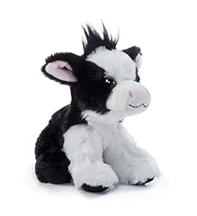 Petting zoo cow for sale  Delivered anywhere in USA 