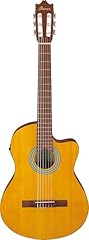 Ibanez acoustic guitar usato  Spedito ovunque in Italia 