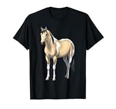 Buttermilk buckskin pinto for sale  Delivered anywhere in USA 