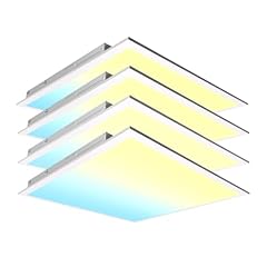 Ypii pack 2x2 for sale  Delivered anywhere in USA 