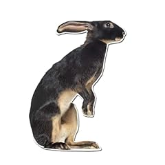 Otter rex rabbit for sale  Delivered anywhere in USA 
