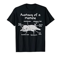 Anatomy bichon maltese for sale  Delivered anywhere in UK