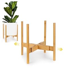 Fox fern large for sale  Delivered anywhere in USA 