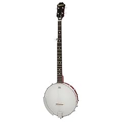Epiphone 100 pen gebraucht kaufen  Wird an jeden Ort in Deutschland