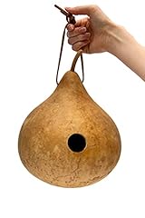 Unifinished gourd wren for sale  Delivered anywhere in USA 