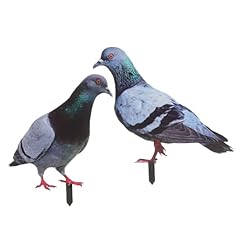 Imikeya statue pigeon d'occasion  Livré partout en France