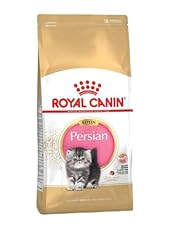 Royal canin persian usato  Spedito ovunque in Italia 