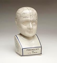 Aai porcelain phrenology for sale  Delivered anywhere in USA 