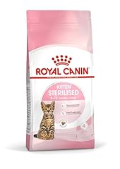 Royal canin chaton d'occasion  Livré partout en Belgiqu