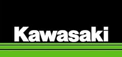 Kawasaki factory service for sale  Delivered anywhere in USA 