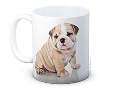 British bulldog dog for sale  Delivered anywhere in UK