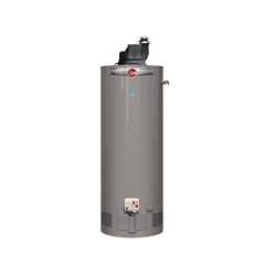 Rheem PROG50-42N RH67 PV Professional Classic Residential for sale  Delivered anywhere in USA 