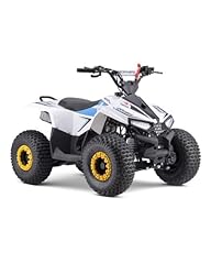 Mini quad benzina usato  Spedito ovunque in Italia 