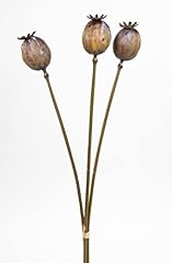 Seidenblumen roß stück gebraucht kaufen  Wird an jeden Ort in Deutschland