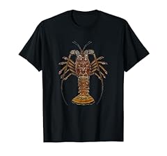 Caribbean spiny lobster for sale  Delivered anywhere in USA 