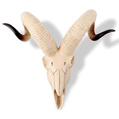 Ram skull taxidermy for sale  Delivered anywhere in USA 