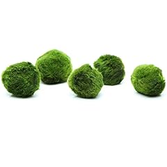 K2aqua marimo moss for sale  Delivered anywhere in UK