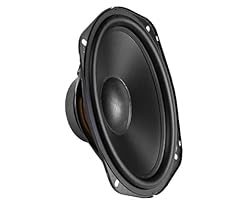 Altoparlante stereo auto usato  Spedito ovunque in Italia 