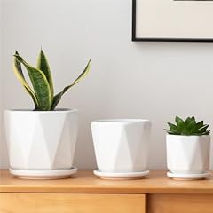 Octagon ceramic plant for sale  Delivered anywhere in USA 