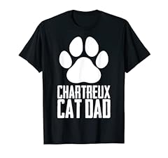 Homme chaton chartreux d'occasion  Livré partout en France