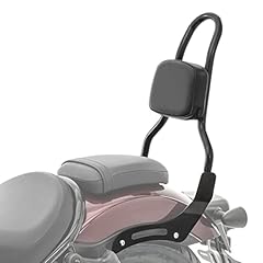 Sissy bar honda gebraucht kaufen  Wird an jeden Ort in Deutschland