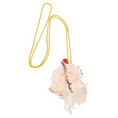 Vosarea natural conch for sale  Delivered anywhere in USA 