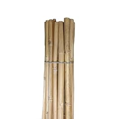 Pag canne bamboo usato  Spedito ovunque in Italia 