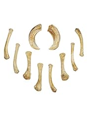 Andracor handbemaltes knochens gebraucht kaufen  Wird an jeden Ort in Deutschland