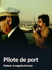 Pilote d'occasion  Livré partout en France