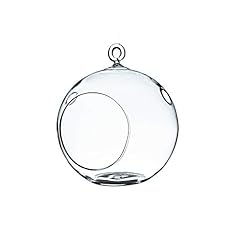Wgv hanging terrarium for sale  Delivered anywhere in USA 