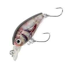 Major fish forellen gebraucht kaufen  Wird an jeden Ort in Deutschland