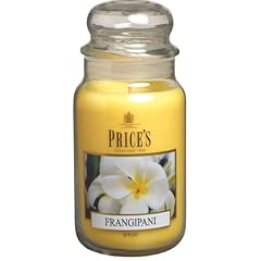 Price frangipani large for sale  Delivered anywhere in UK