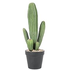 Huisezing artificial cactus for sale  Delivered anywhere in USA 